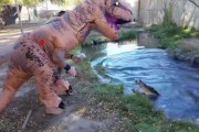 【画像】恐.竜の着ぐるみ着てワ ニに近づいたらどうなるか実験した結果