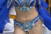 若い肉体を惜しみなく晒すサンバカーニバルの女の目的は何なの？