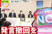ＬＧＢＴ法案提出”見送り”  自民党前で抗議デモ(2021年5月31日放送「news zero」より)