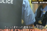【悲報】新人女性警官さん、職質でエッチな事になる…（※画像あり）