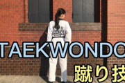 【驚愕】テコンドー、間違いなく最強格闘技だった！！！！