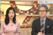 【画像】NHK桑子真帆アナのおっぱいが暴力的すぎるｗｗｗｗｗｗ
