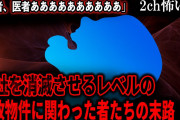 【2ch怖いスレ】会社を消滅させるレベルの事故物件に関わった者たちの末路「医者、医者ああああああああああ」【ゆっくり解説】
