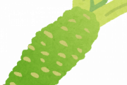 ( •̀ɷ•́ )今日はわさびについて教えます