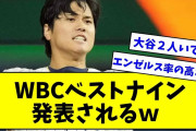 【エンゼルス率高くて草】WBCベストナイン発表されるwwwwwwwwwwwwwwwww【なんJ反応】【プロ野球反応集】【2chスレ】【5chスレ】