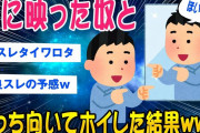 【2ch面白いスレ】鏡に映った奴とあっち向いてホイで勝負してみた結果ww【ゆっくり解説】