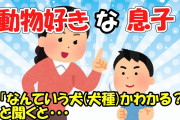 【2ch面白いスレ/ほのぼのスレ】動物好きな息子に「なんていう犬(犬種)かわかる？」と聞くと・・・【ゆっくり解説】
