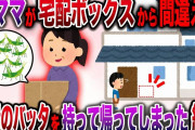 【修羅場】我が家の宅配ボックスから勘違い泥ママが間違えて大量のバッタを持って帰ってしまった結果【伝説のスレ】