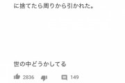 【画像】お前らの住んでる日本って、こんな国らしいぞｗｗｗｗｗ