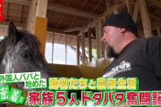 密着！ 都会から移住１年…家族５人“田舎暮らし”奮闘記　動物たちと農家生活（2021年6月2日放送「news every.」より）