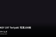 ROAST TURKEYの動画・TURKEY 197 Teriyaki 写真100枚