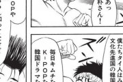 【悲報】格闘マンガにおけるムエタイの扱いの悪さは異常