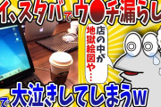 【2ch面白いスレ】なんJ民、スタバでウ●チ漏らして店で大泣きしてしまうwwww【ゆっくり解説】