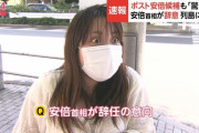 【画像ｗ】30代女性「えぇっ！！安倍首相が辞任！？びっくりしましたぁっ！！（迫真」