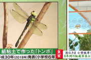 【必見画像】悠仁さまが作った粘土のトンボがガチで凄すぎるｗｗｗｗｗｗ