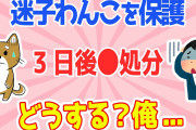 【2chほのぼのスレ】迷子ワンコを保護→飼い主が見つからない場合は○処分→イッチの決断は？