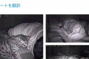 【画像】なんか夜寝苦しいからカメラ仕掛けてみた結果