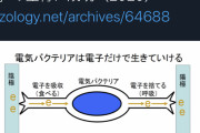 【偉業】研究者「わーい、電気を食べる生物作ったよー?危険じゃないよー」