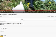 【画像】女子高生、おっぱいだとBANされるのでパンチラYoutuberに転向
