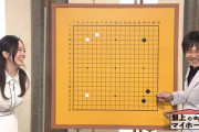 【朗報】最近のNHK囲碁番組アシスタントさん、巨乳しか採用されないもよう