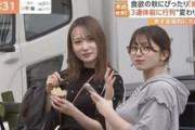【画像】テレビに爆乳眼鏡ｗｗｗｗｗｗｗｗｗｗｗｗ