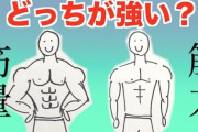 ボディビルダーが力がない理由ってなに？