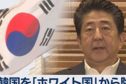 韓国「ホワイト国除外による海外の反応」どうなるのか２ｃｈの理由がやばい【画像】