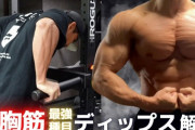 ディップスとかいう謎の筋トレｗｗｗｗｗｗｗｗｗｗ