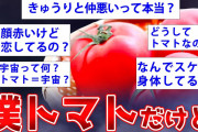 【2ch面白いスレ】本物のトマトが2chに降臨w衝撃の展開にww【ゆっくり解説】