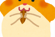 【ファ～ｗ】ハムスター脱走したったったｗｗｗｗｗｗｗｗｗｗ