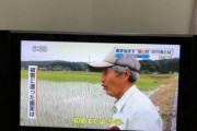 【狂気】撮り鉄、一線を越えて炎上（※画像あり）