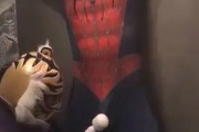【動画あり】スパイダーマンさん、変態タイガーマスクに捕まってしまうｗｗｗｗ