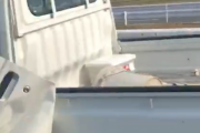 【動画】女さん「ボッコボコの軽トラが走っててワロタｗ」