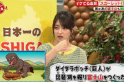 【画像】NHK赤木野々花アナがデカ乳でエロいと話題にｗｗｗ(GIFあり)