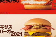 【朗報】マックのあのバーガーが復活ｗｗｗｗｗ