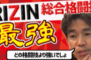 最強の格闘技は何か？←これ総合で結論出てるよなｗｗｗ