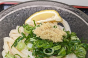 【画像あり】香川、うどん1玉デカすぎなんだよ