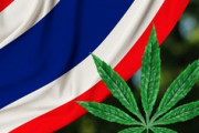 【動画】タイ政府、ガチで国民に大麻を100万本配るｗｗｗｗｗｗｗｗｗｗ