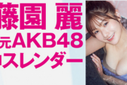 【画像】元AKB48さん(18)、水着グラビアで神スレンダーボディあらわにwwwwwwww藤園麗が「週プレ」に続いて「FLASH」にまで登場！！！