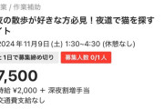 【悲報】ホワイト案件！軽作業！猫を探して印をつけるだけ！ワイ「タイパええやん！」