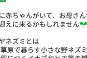 ツイカスさん「ねずみは害獣じゃない！！優しくしてあげて！！」