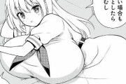 【画像】女キャラのバストサイズって100を超えるとエロいというよりギャグになるよね