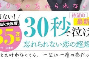 【画像】30秒で泣けると話題の小説がこちらwwwwwwwww