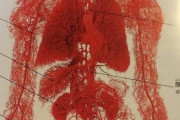 【画像】中国人、人体の血管だけ取り除いた標本作った！w