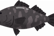 【唖然】アブラボウズっていう聞いたことない『魚』食べた結果ｗｗｗｗｗｗ