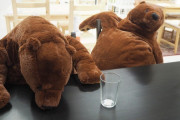 【画像】IKEAでクマのぬいぐるみが人気