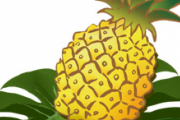 【朗報】パイナップルさん、1個まるごと買って自分で捌くと安すぎる（画像あり）