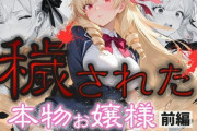 【フル無料】「お父様、お母様、ごめんなさい。私、妊娠しちゃうかも」穢された本物お嬢様  前編〜初めては誰のために〜hitomi