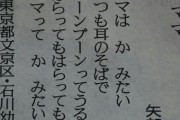 【悲報】最近の幼稚園児、親を蚊だと思っていた