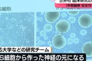 【朗報】ｉＰＳ細胞移植で２人の運動機能が改善、脊髄損傷患者が自分で食事をとれるように…慶応大チーム発表